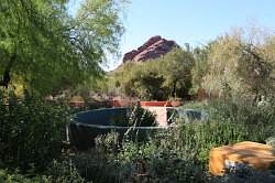 Scottsdale - Desert Botanical garden