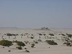 Woestijn in het zuiden (restricted area) is ongerept