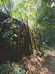 Serra da Cantareira