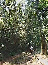 Serra da Cantareira