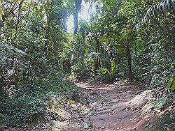 Serra da Cantareira