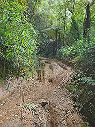 Serra da Cantareira