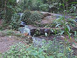 Serra da Cantareira - waterval; hierna begon het meer dan een uur erg hard te regenen (alsof je onder de douche stond); tijd om terug te lopen