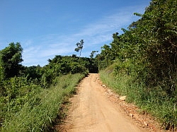 Ilhabela - Jabaquara; onderweg
