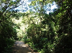 Ilhabela - Jabaquara; onderweg