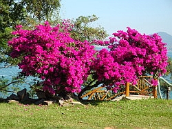 Ilhabela