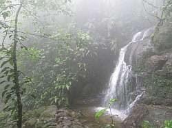 Paranapiacaba forest - Hidden Fall