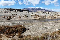 Death Valley - Salt Creek Trail