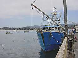 Monterey - vissersboot in de haven