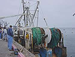 Monterey - vissersboot in de haven