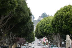 San Francisco - Lombard street, met in de achtergrond de steilste straat ter wereld