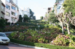 San Francisco - Lombard street