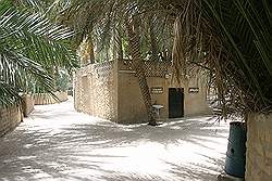De Al Ain oase