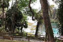 Ocala - Rainbow Springs State Park