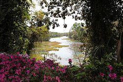 Ocala - Rainbow Springs State Park