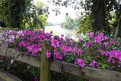 Ocala - Rainbow Springs State Park