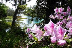 Ocala - Rainbow Springs State Park