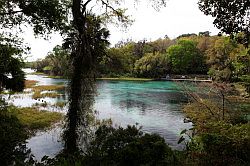 Ocala - Rainbow Springs State Park