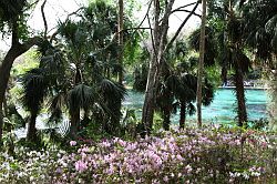 Ocala - Rainbow Springs State Park