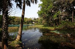 Ocala - Rainbow Springs State Park