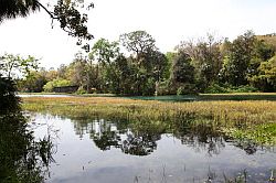 Ocala - Rainbow Springs State Park