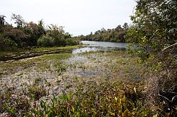 Ocala - Rainbow Springs State Park