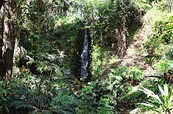 Ocala - Rainbow Springs State Park