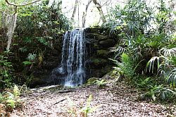 Ocala - Rainbow Springs State Park