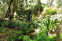 Ocala - Rainbow Springs State Park