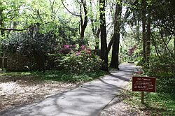 Ocala - Rainbow Springs State Park