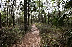 Ocala - Rainbow Springs State Park