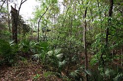 Ocala - Rainbow Springs State Park