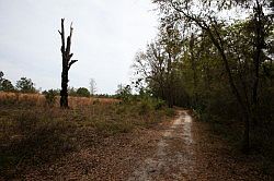 Ocala - Rainbow Springs State Park