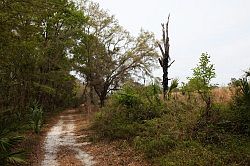 Ocala - Rainbow Springs State Park