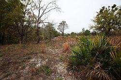 Ocala - Rainbow Springs State Park