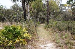 Ocala - Rainbow Springs State Park