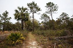 Ocala - Rainbow Springs State Park