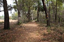 Ocala - Rainbow Springs State Park