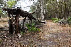 Ocala - Rainbow Springs State Park