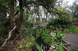 Ocala - Rainbow Springs State Park