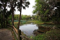 Ocala - Rainbow Springs State Park