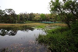 Ocala - Rainbow Springs State Park