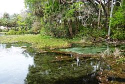 Ocala - Rainbow Springs State Park