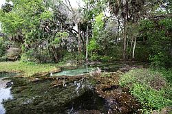 Ocala - Rainbow Springs State Park