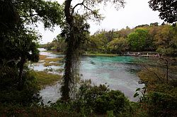 Ocala - Rainbow Springs State Park