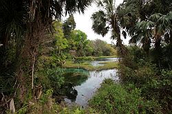 Ocala - Rainbow Springs State Park