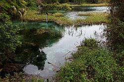 Ocala - Rainbow Springs State Park