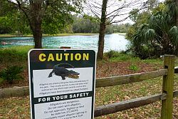 Ocala - Rainbow Springs State Park