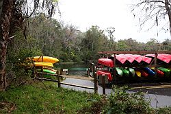 Ocala - Rainbow Springs State Park