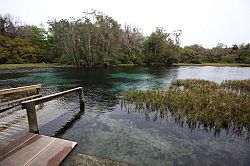 Ocala - Rainbow Springs State Park